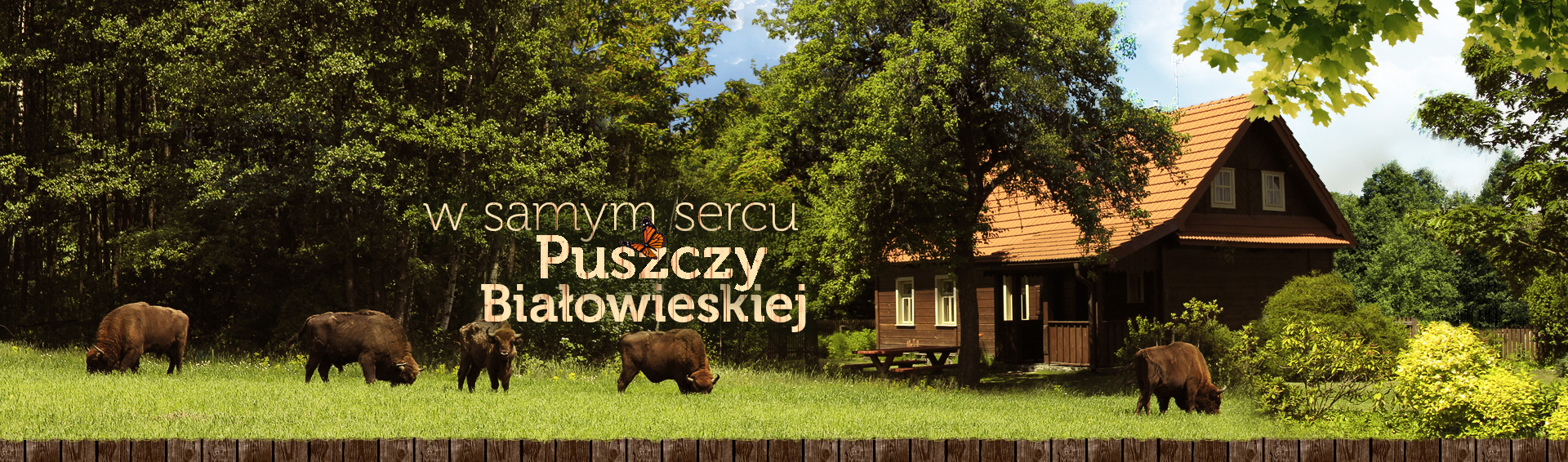 Stare Masiewo